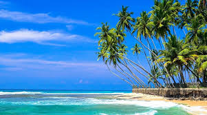 New Beach Tour in Sri Lanka